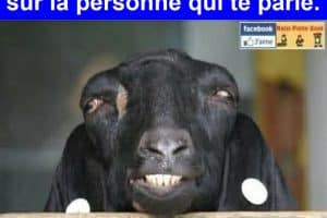 Quand tu es ivre mort et que tu essaies de te concentrer sur la personne qui te parle.