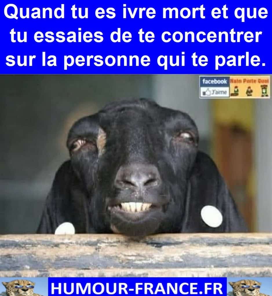 Quand tu es ivre mort et que tu essaies de te concentrer sur la personne qui te parle.