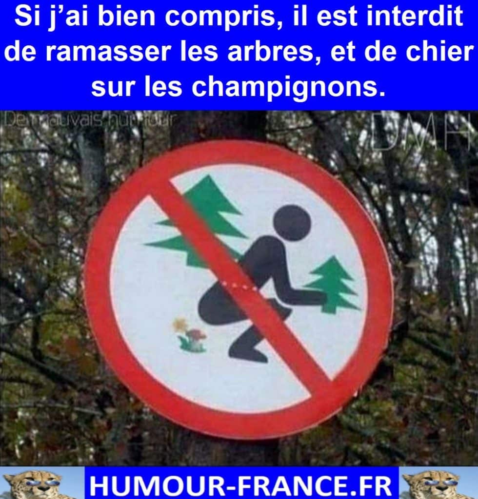 Si j’ai bien compris, il est interdit de ramasser les arbres, et de chier sur les champignons.