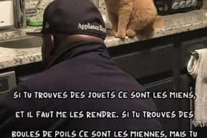 Si tu trouves des jouets ce sont les miens, et il faut me les rendre.