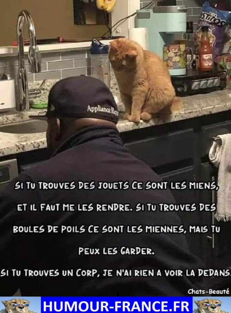 Si tu trouves des jouets ce sont les miens, et il faut me les rendre.