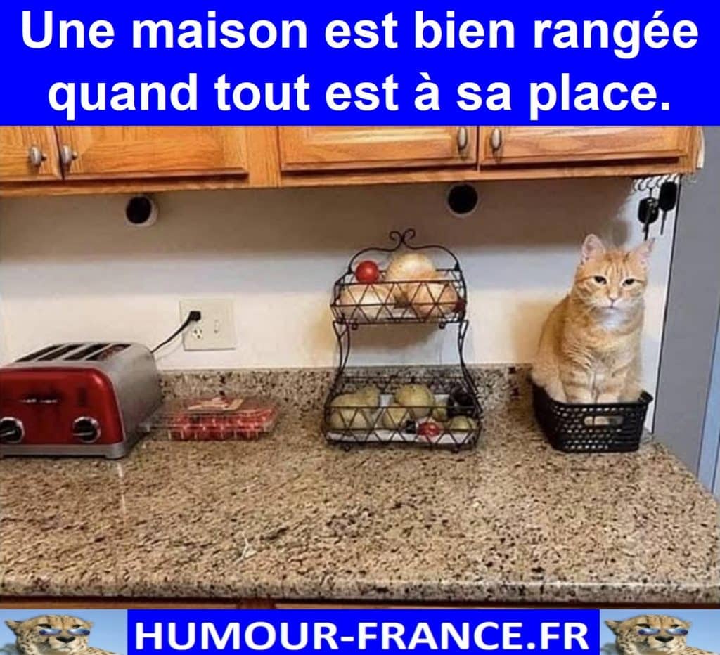 Une maison est bien rangée quand tout est à sa place.