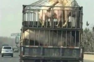 Vis chaque jour comme si c’était le dernier.