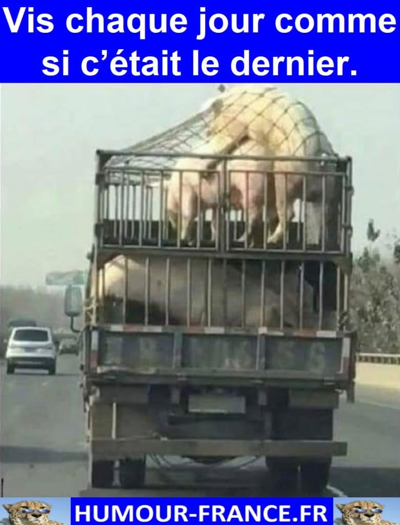 Vis chaque jour comme si c’était le dernier.