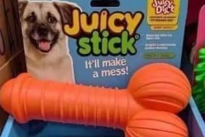 La caissière : Oh il va être content votre chien !