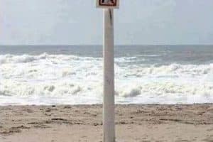 Le rebelle de la plage.