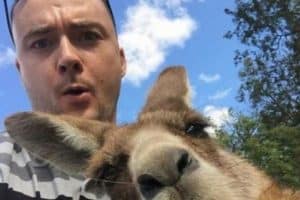 L’un des meilleurs selfies que je n’ai jamais vues.