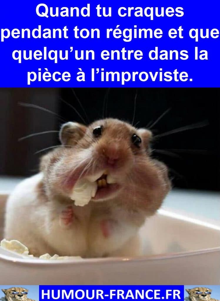 Quand tu craques pendant ton régime et que quelqu’un entre dans la pièce à l’improviste.