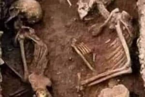 Tu fais toujours la gueule ??!!!