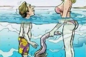 Vous êtes surprenant !