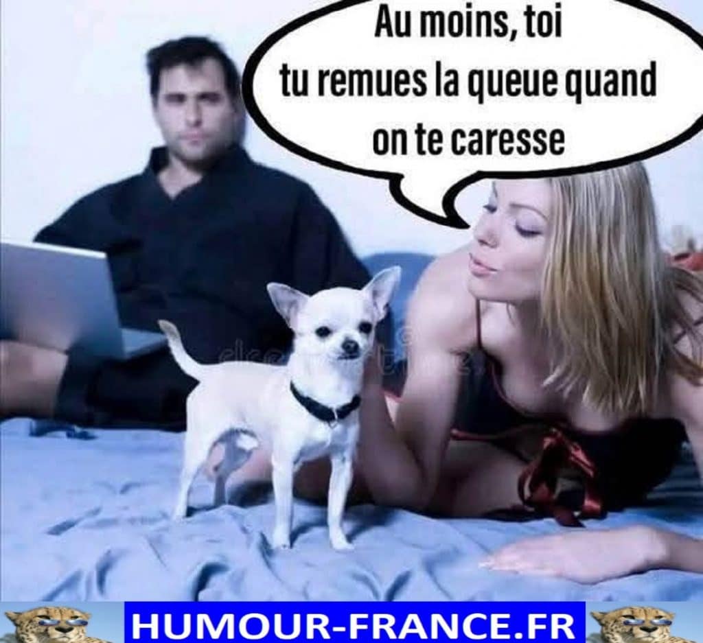 Au moins, toi tu remues la queue quand on te caresse.