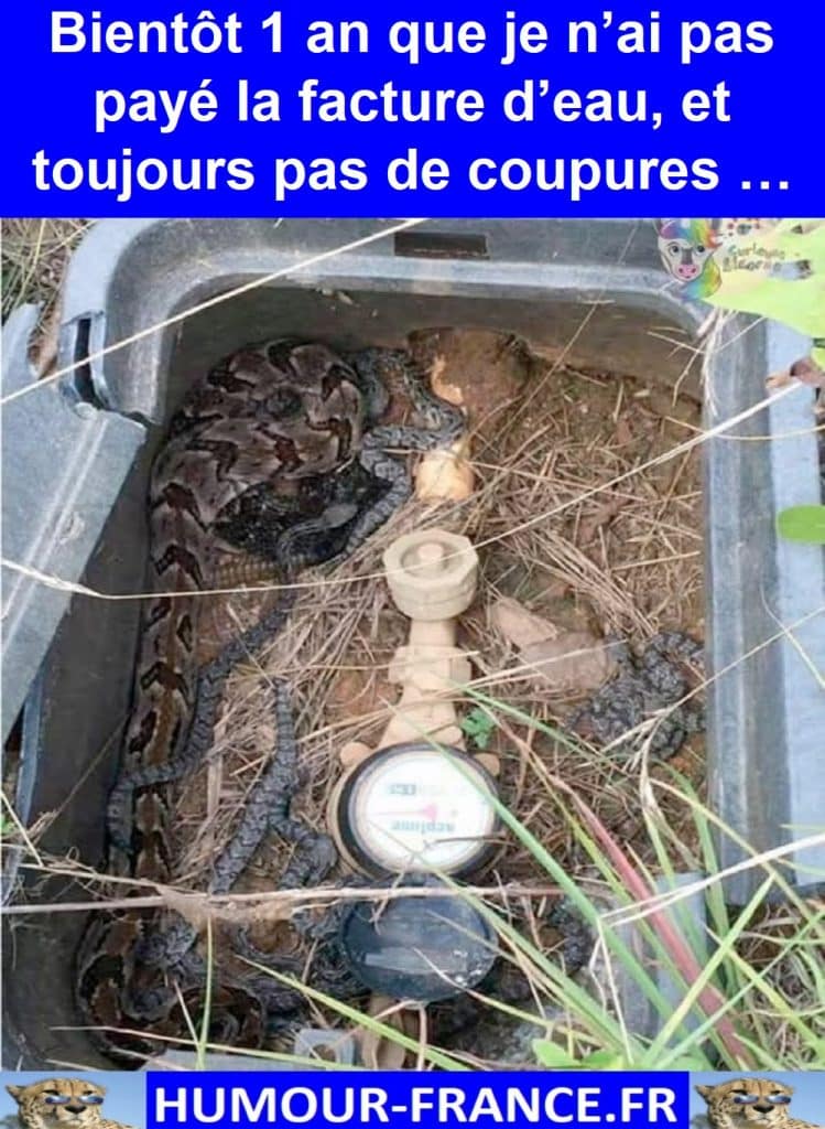 Bientôt 1 an que je n’ai pas payé la facture d’eau, et toujours pas de coupures …