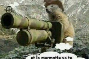 Et la marmotte elle met …