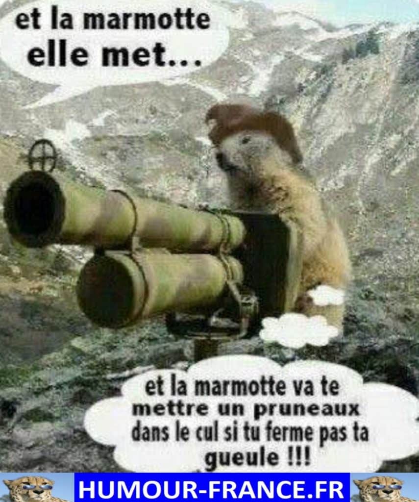 Et la marmotte elle met …