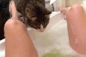 Hé ! Ma sœur se noie !