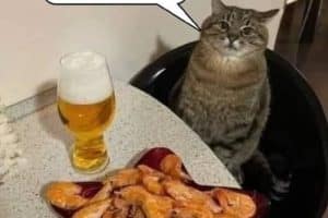 Je surveille tout. Tu peux être tranquille.