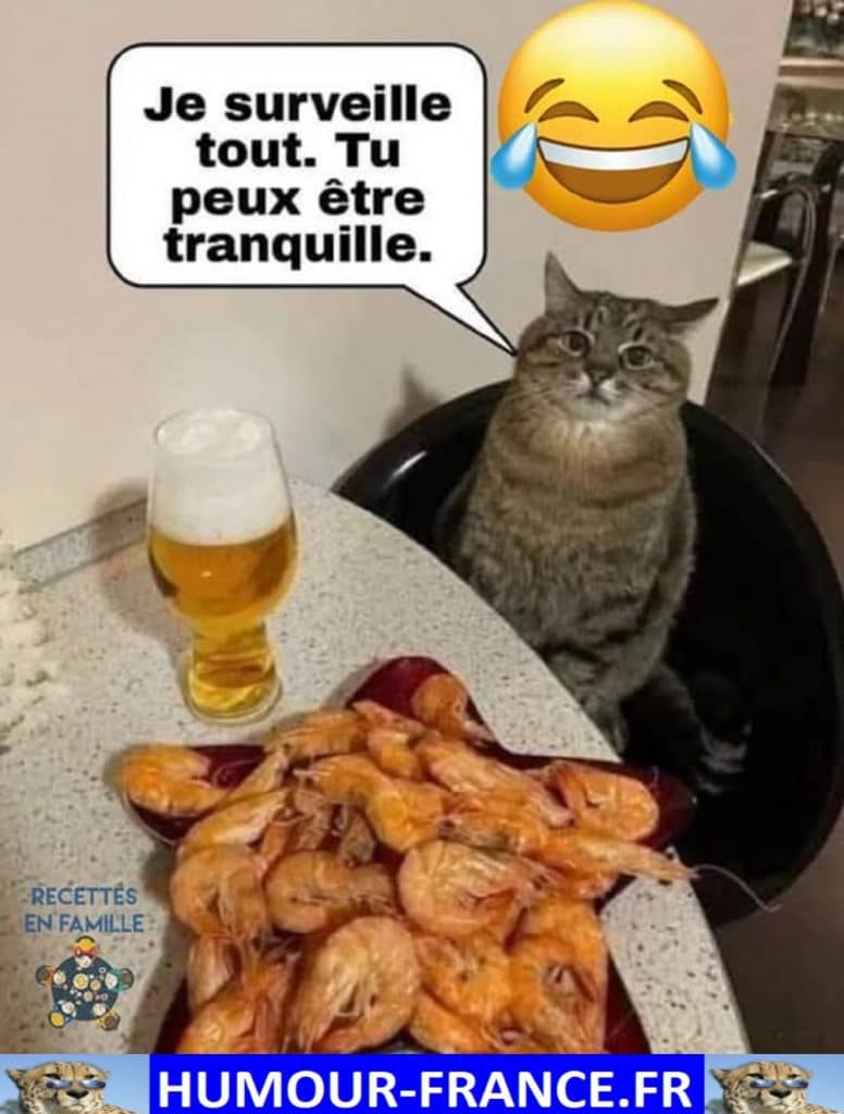 Je surveille tout. Tu peux être tranquille.