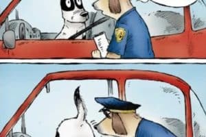 Je vais avoir besoin d’une pièce d’identité.