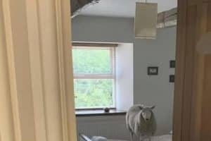 Le matin, quand tu ne les as pas tous comptés.