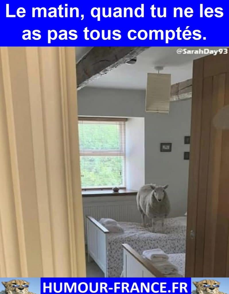 Le matin, quand tu ne les as pas tous comptés.