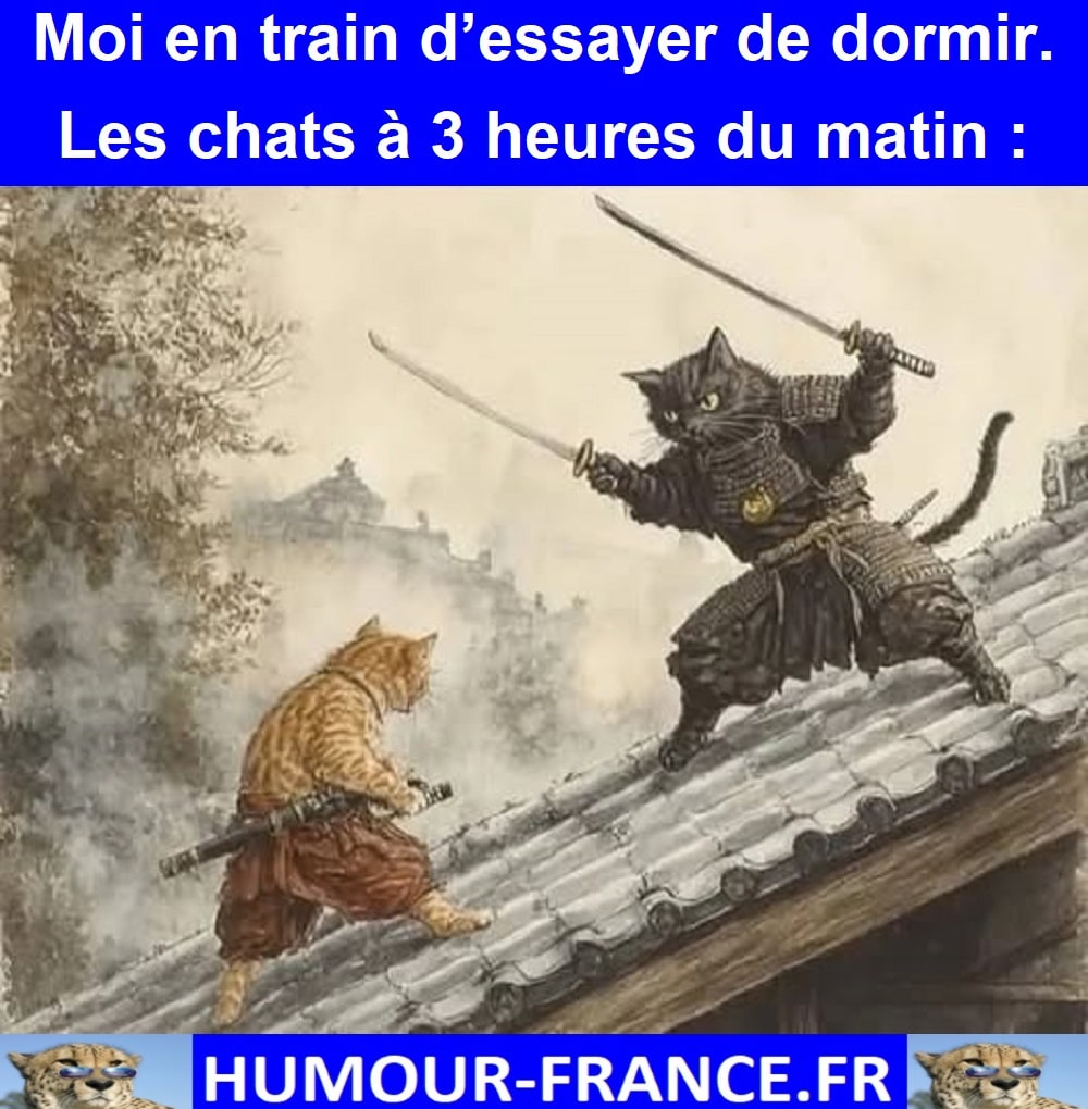 Moi en train d’essayer de dormir.