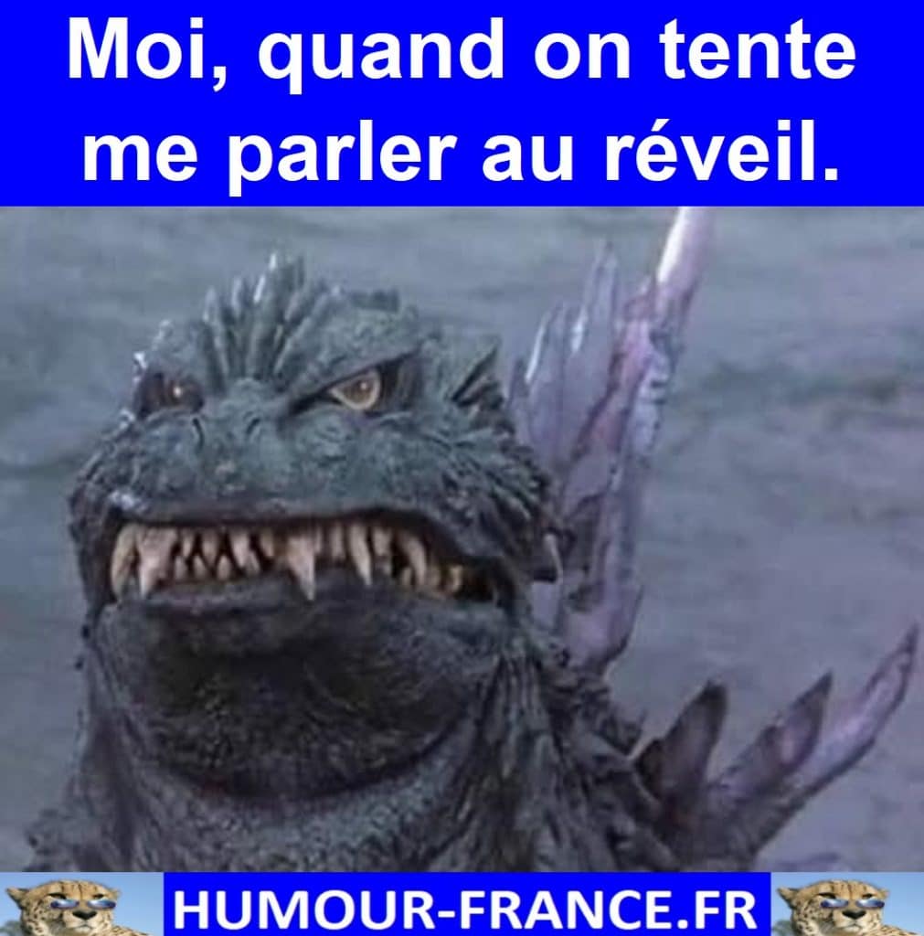 Moi, quand on tente me parler au réveil.