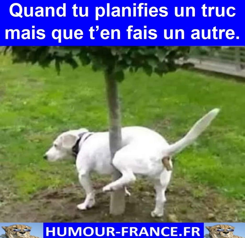 Quand tu planifies un truc mais que t’en fais un autre.