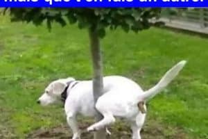 Quand tu planifies un truc mais que t’en fais un autre.