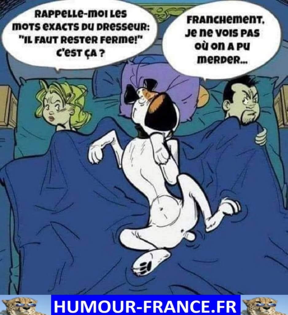 Rappelle-moi les mots exacts du dresseur : Il fait rester ferme ! C’est ça ?