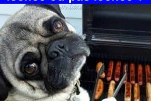 Ta saucisse, tu la veux léchée ou pas léchée ?