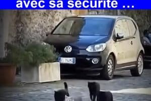 Un dangereux boss de la mafia se promène avec sa sécurité …