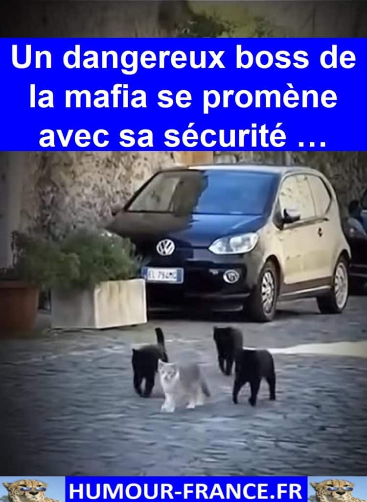 Un dangereux boss de la mafia se promène avec sa sécurité …