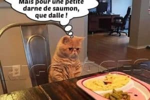 Encore des pâtes …