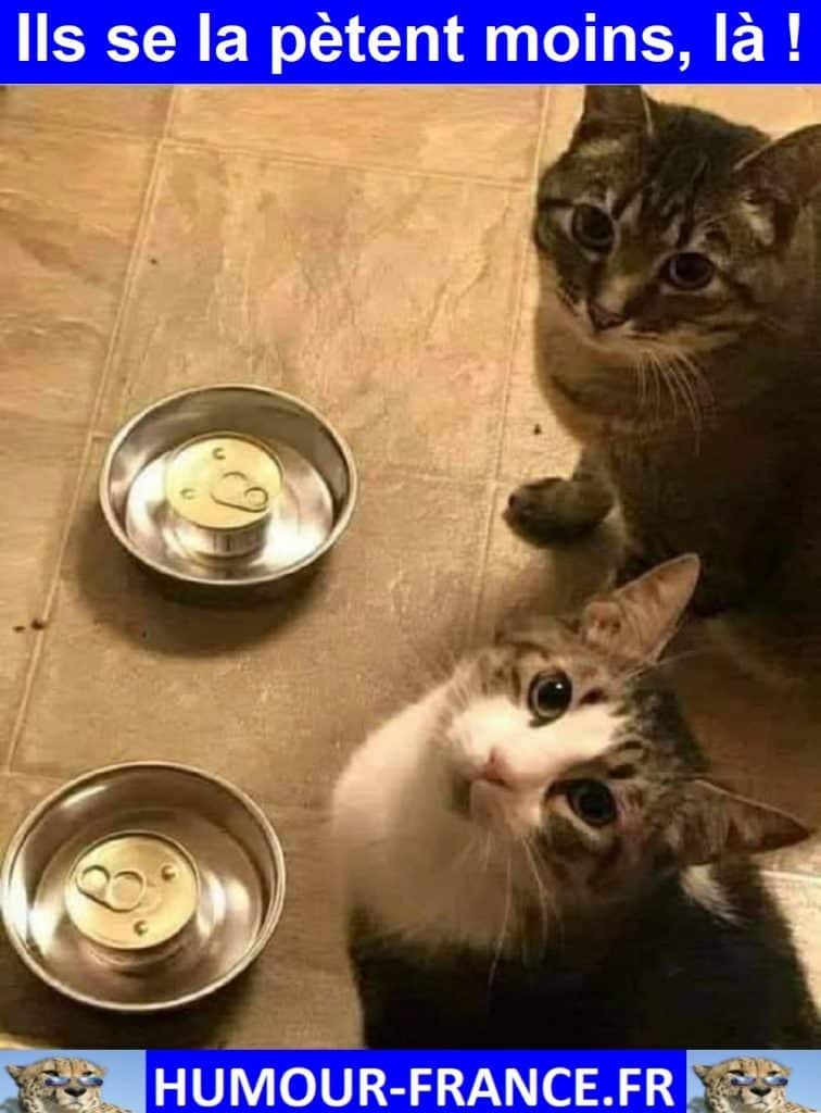 Ils se la pètent moins, là !