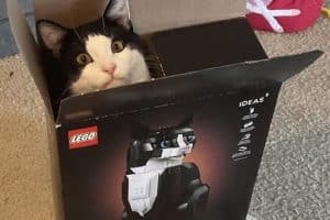 J'ai ouvert la boîte et il était déjà monté.