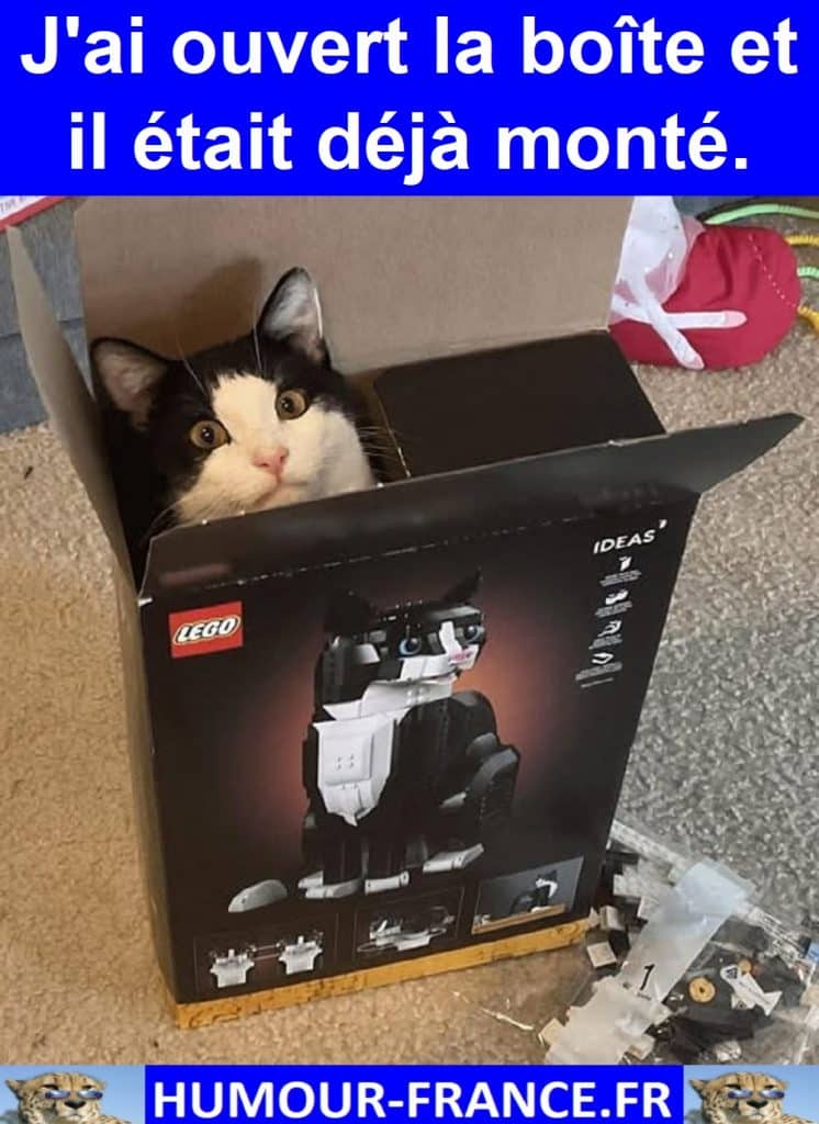 J'ai ouvert la boîte et il était déjà monté.