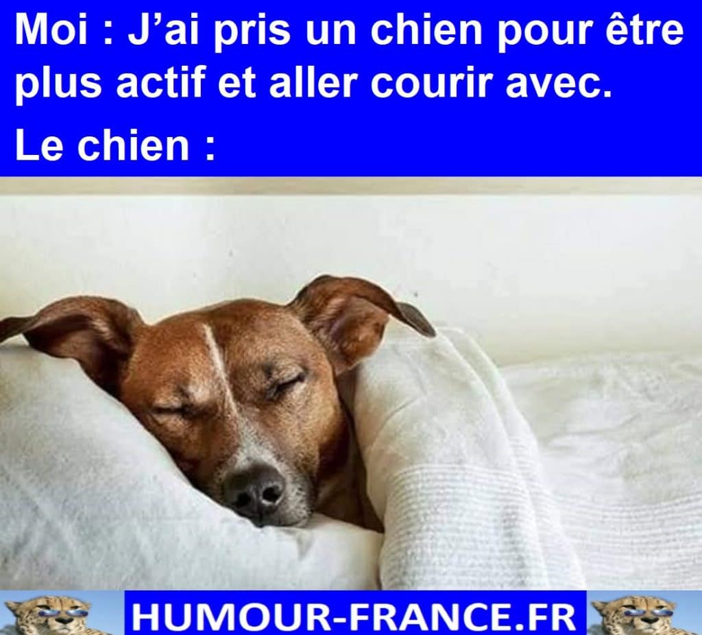 J’ai pris un chien pour être plus actif et aller courir avec.