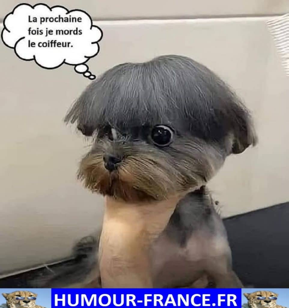 La prochaine fois je mords le coiffeur.