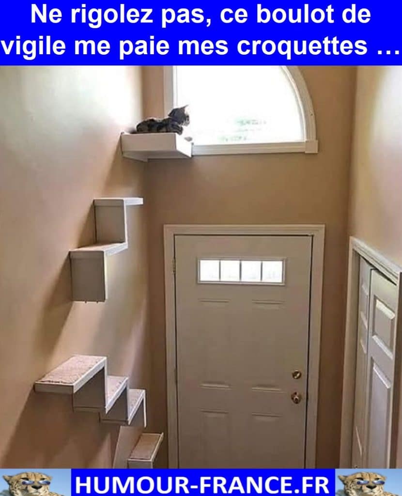 Ne rigolez pas, ce boulot de vigile me paie mes croquettes …