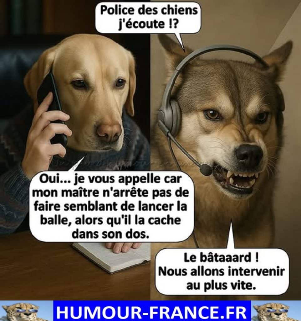 Police des chiens j’écoute !