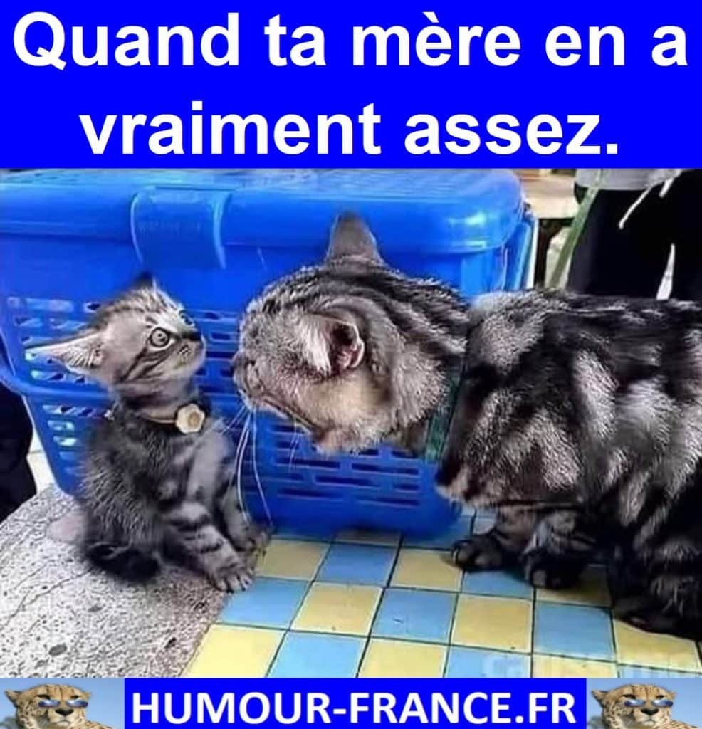 Quand ta mère en a vraiment assez.