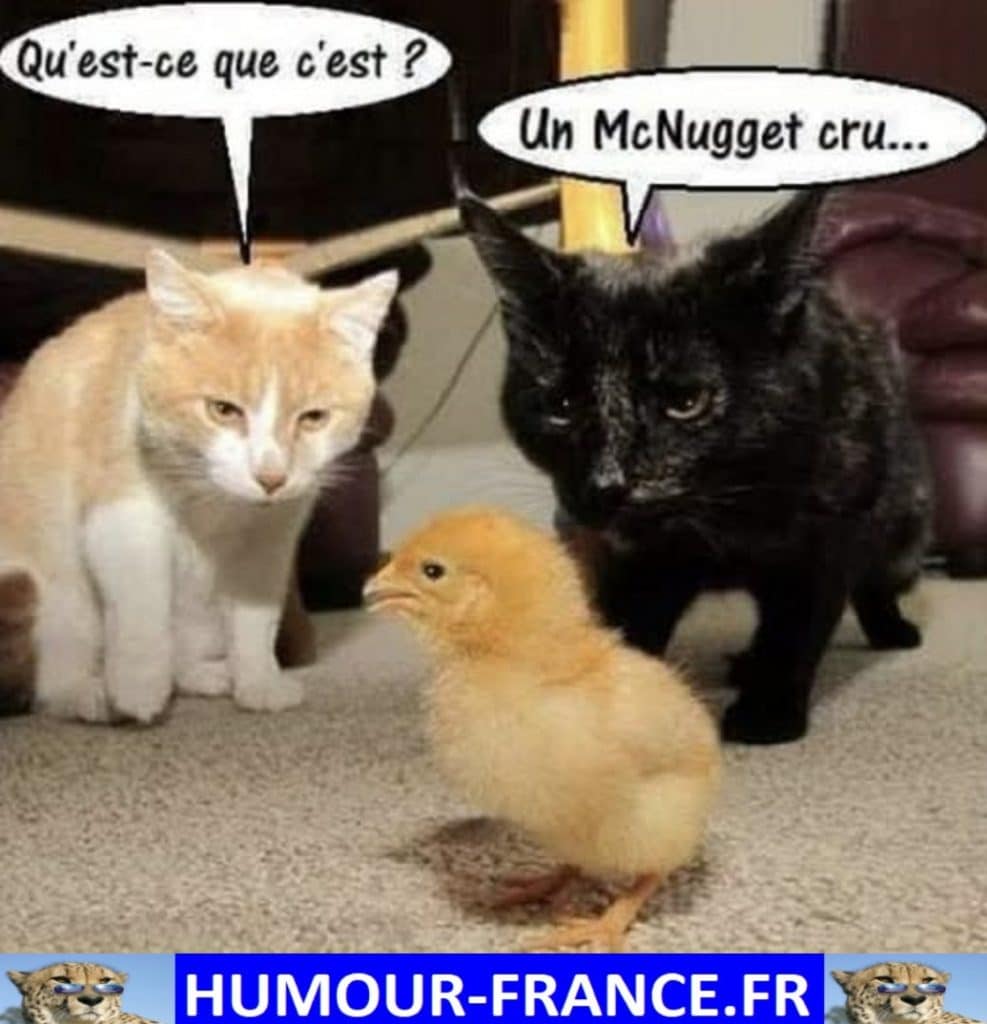 Qu’est-ce que c’est ? Un McNugget cru …