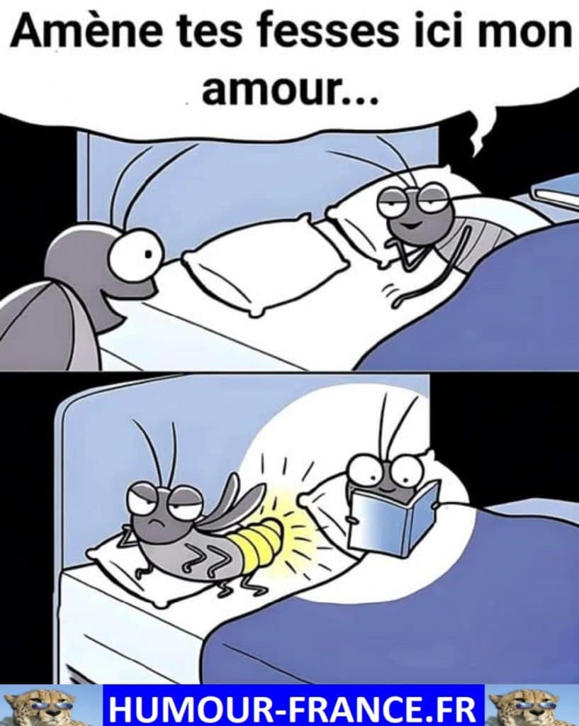 Amène tes fesses ici mon amour …