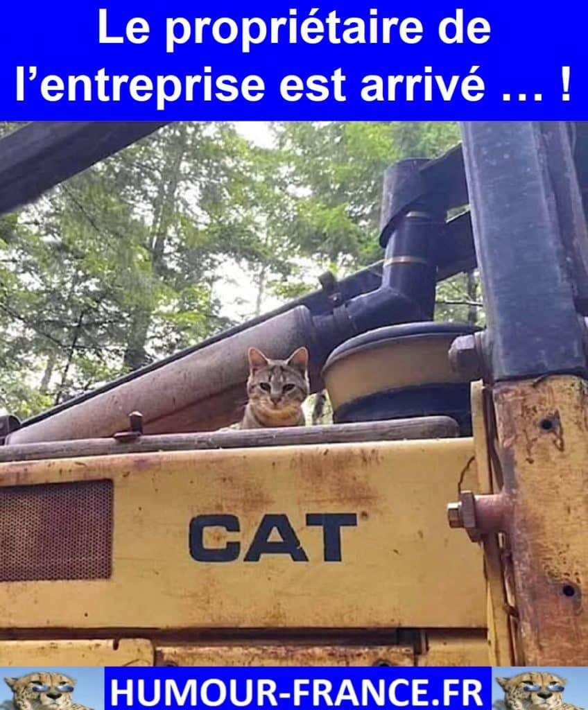Le propriétaire de l’entreprise est arrivé … !