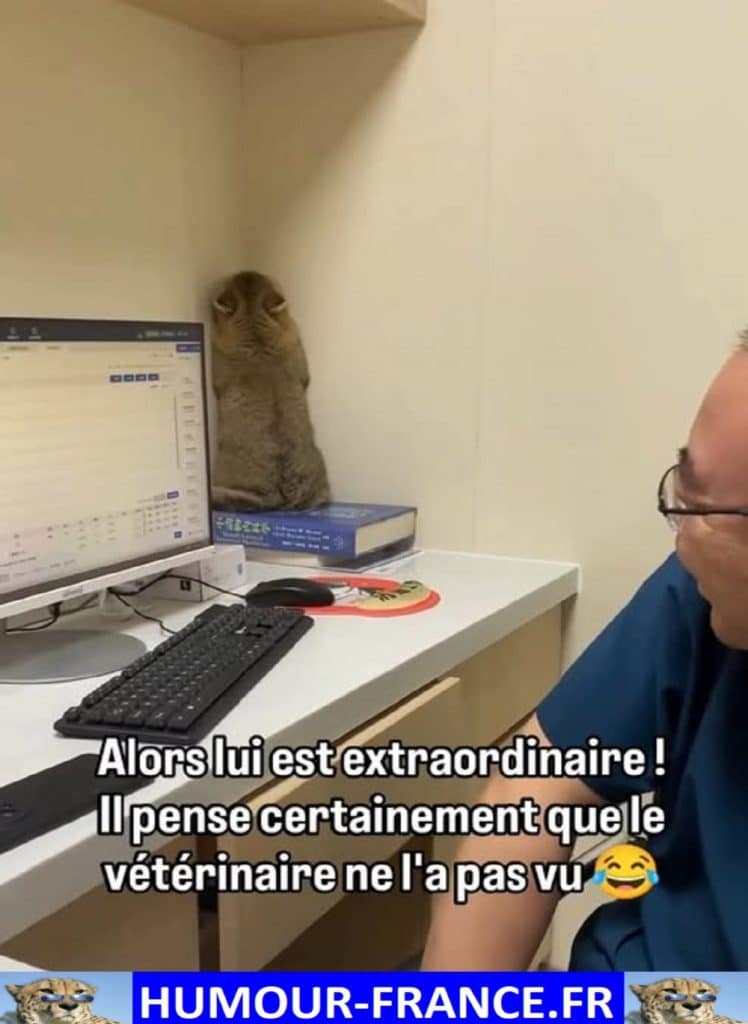 Alors lui est extraordinaire il pense certainement que le vétérinaire ne l’a pas vu.