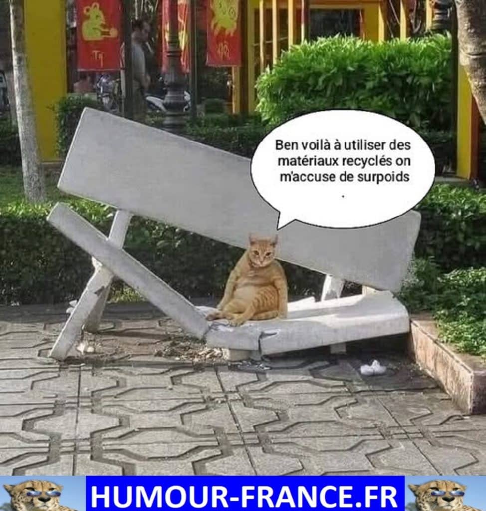 Ben voilà à utiliser des matériaux recyclés on m’accuse de surpoids.