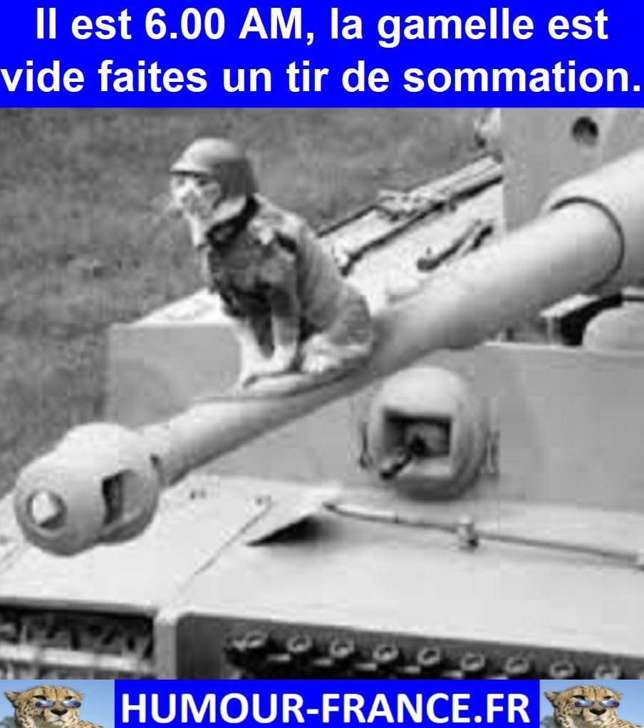 Il est 6.00 AM, la gamelle est vide faites un tir de sommation.