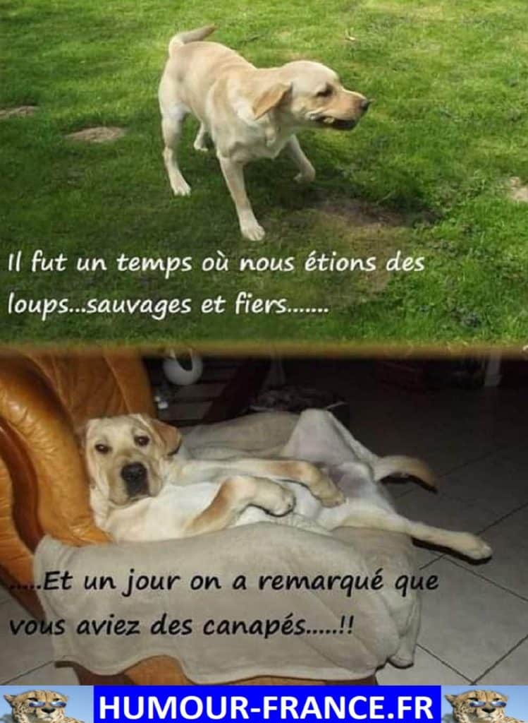 Il fut un temps ou nous étions des loups … sauvages et fiers …