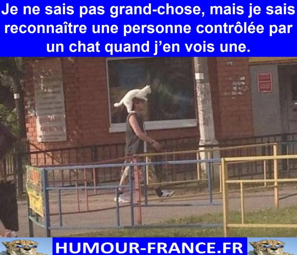 Je ne sais pas grand-chose, mais je sais reconnaître une personne contrôlée par un chat quand j’en vois une.