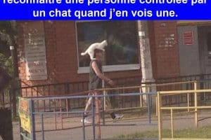 Je ne sais pas grand-chose, mais je sais reconnaître une personne contrôlée par un chat quand j’en vois une.